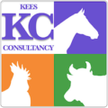 Kees Consultancy logo