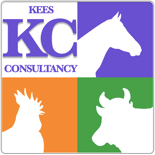 KEES Consultancy